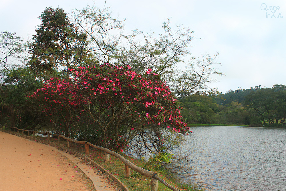 parquedocarmo