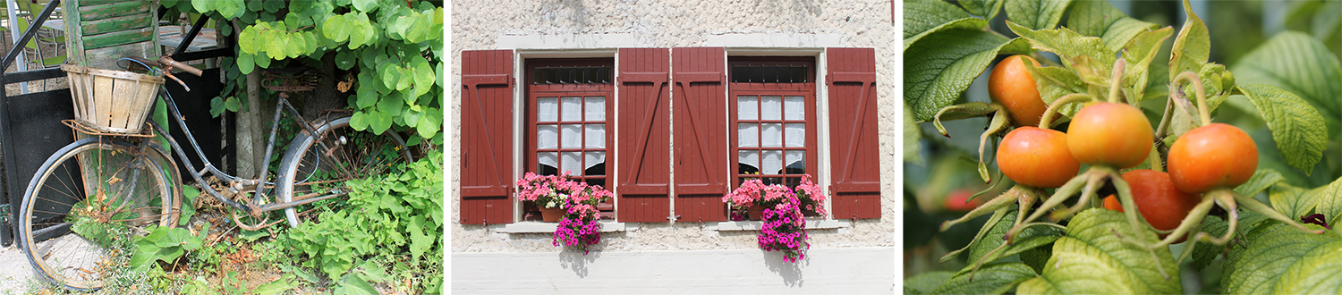 giverny2