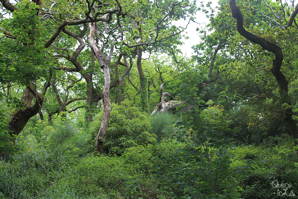 parquedapena