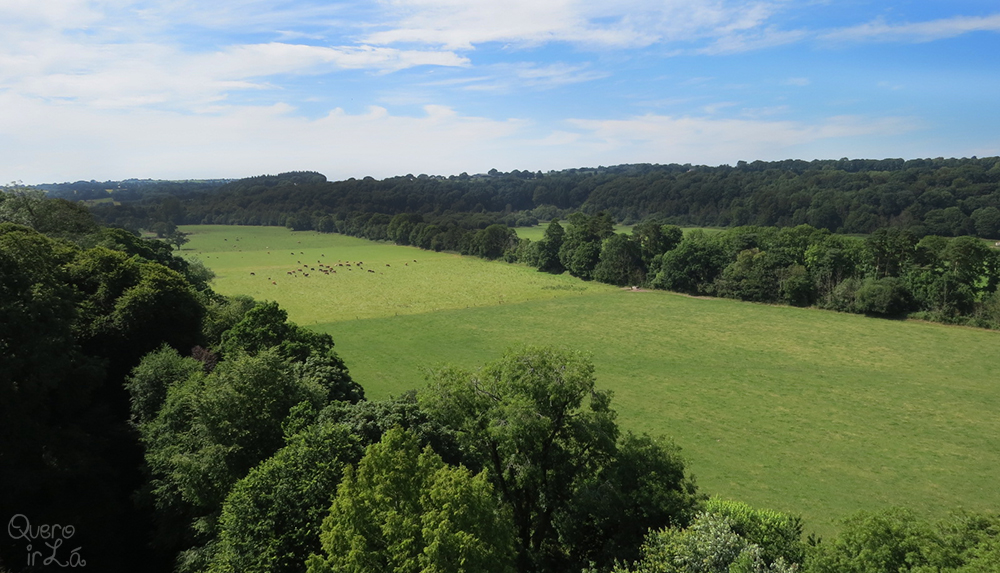 blarney