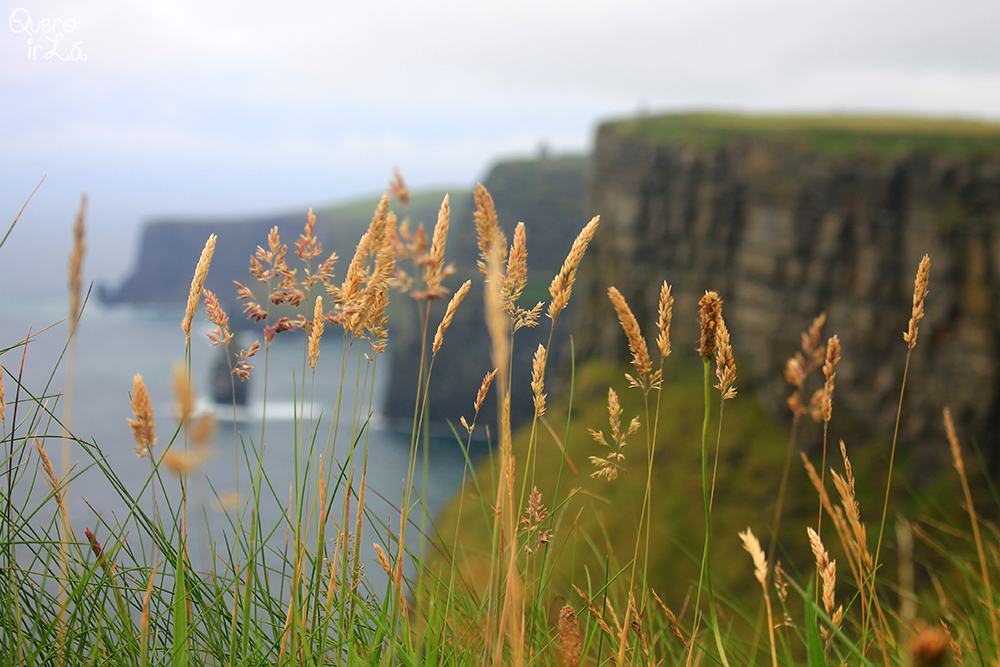cliffsofmoherirlanda