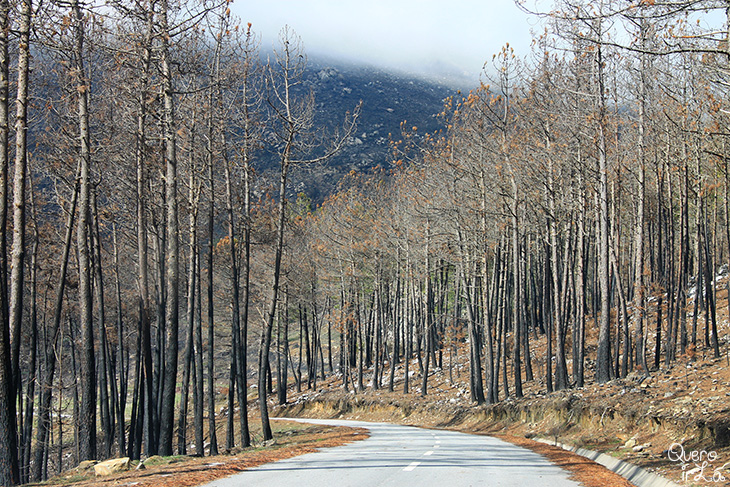 Estrada da Serra da Estrela em Portugal