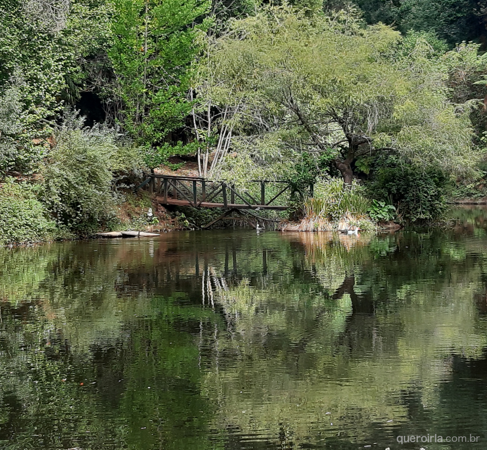 Mata Nacional do Bussaco, Luso, Portugal